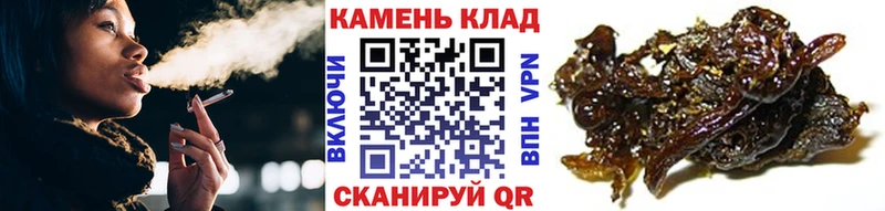 ГАШИШ индика сатива  Купить где  Карасук 