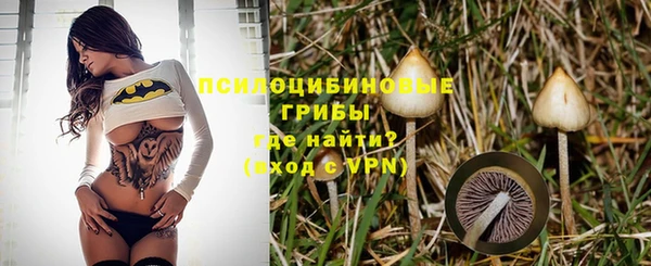 не бодяженный Гусев