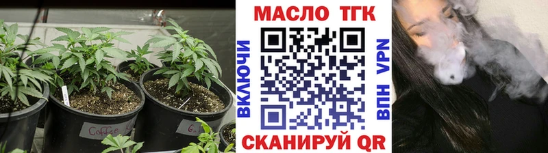 Дистиллят ТГК Wax  Купить где  Карасук 